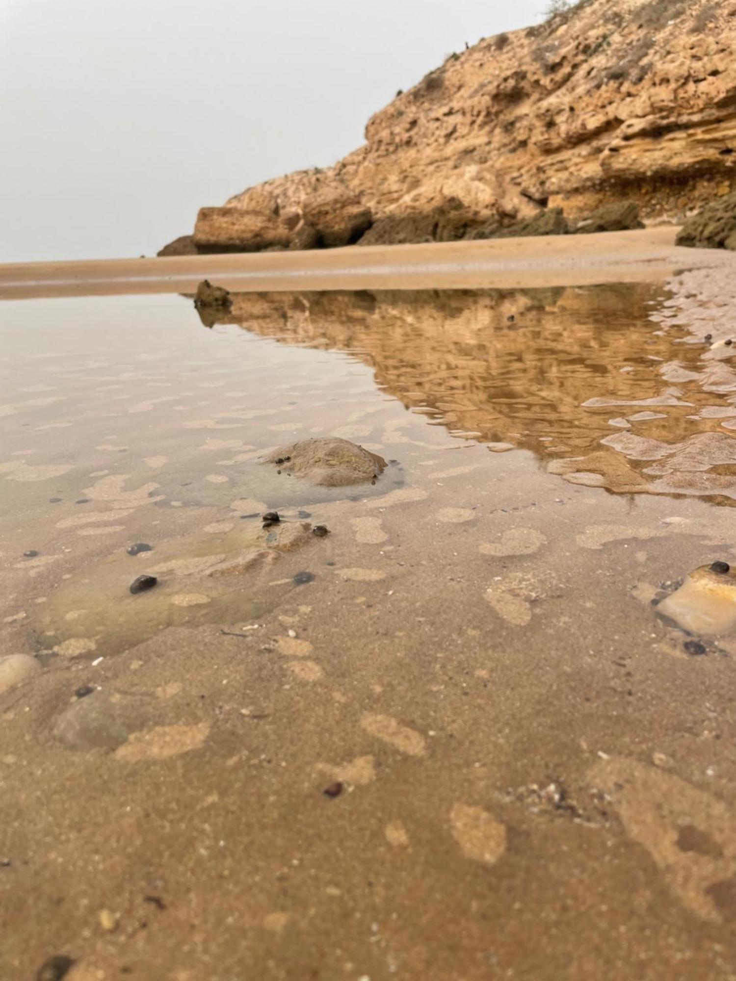2 Appartements A Tamraght Taghazout Bay Surf Spot Aourir Luaran gambar